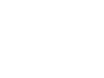 MTV en VIVO online MTV